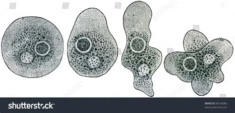  Gorbulus – An amoeba that can literally change shape, color, and even its personality with its environment!